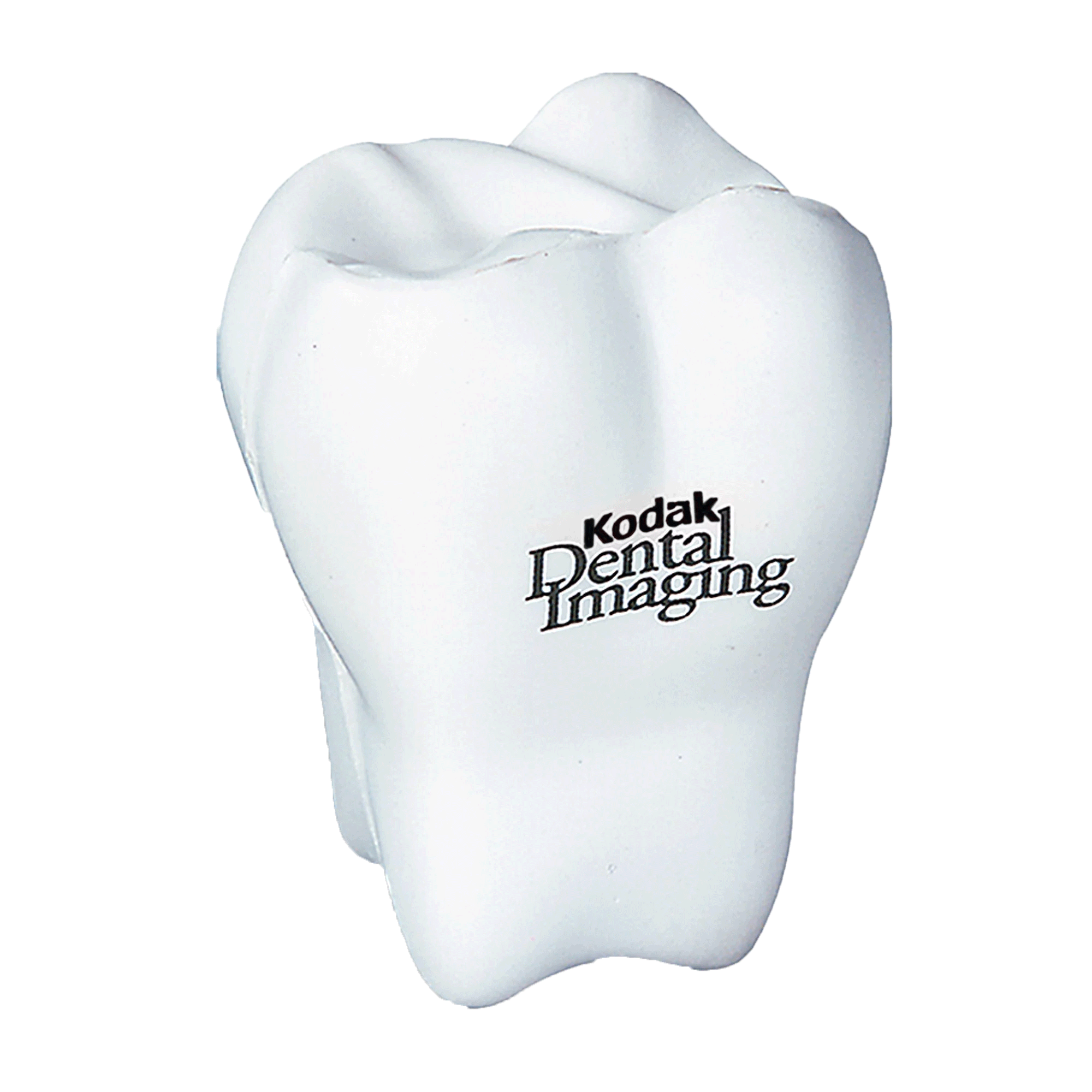 Tooth store stress ball